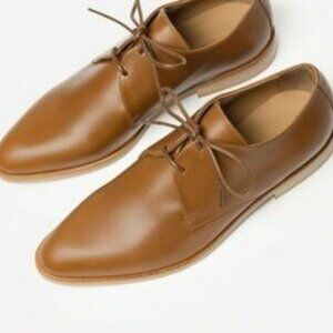 Everlane the Modern Oxford in Cognac Size 8.5